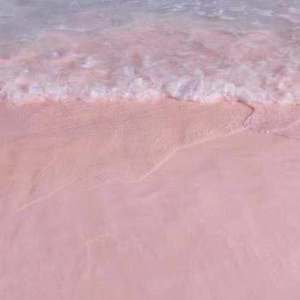 女同志舌吻一区二区三区软件
