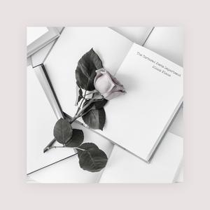 女同志舌吻一区二区三区软件
