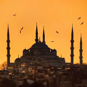 女同志舌吻一区二区三区软件
